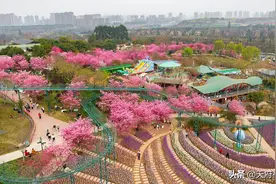新开漫花庄园、天府芙蓉园、幸福梅林白鹭湾湿地假日公交线图片