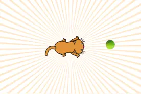 少儿编程Scratch第四讲，小猫追球游戏，附带程序图片