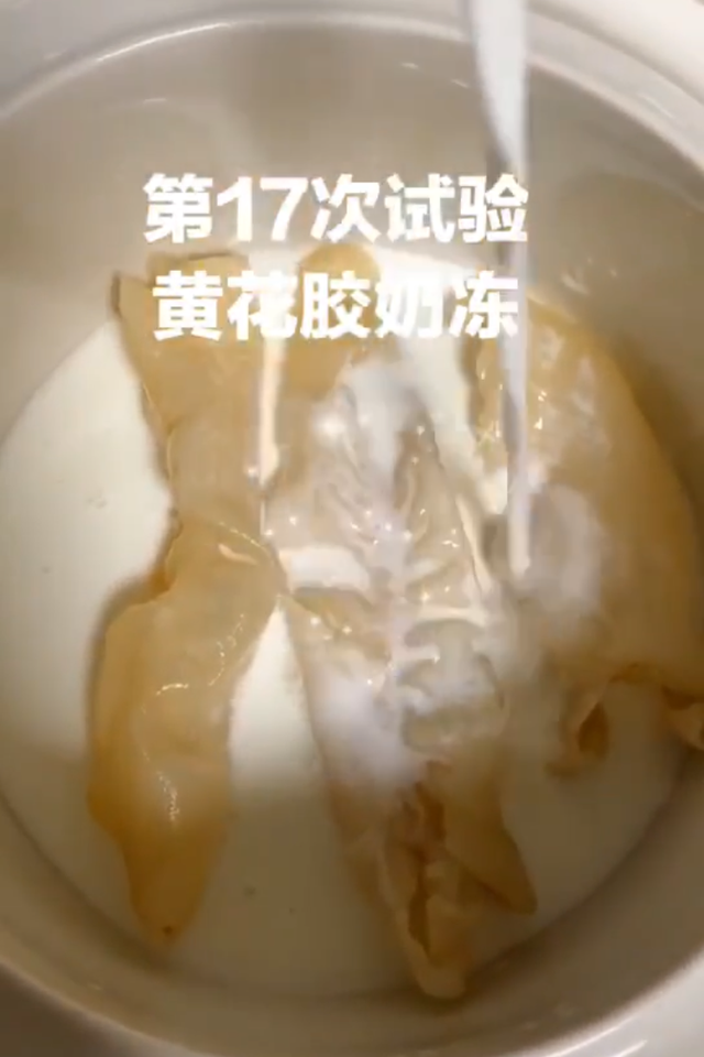 石蜂糖可以炖花胶吗 2026年石蜂糖可以泡水喝吗