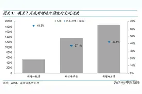国金证券：地方债发行节奏安排或意在托底经济图片