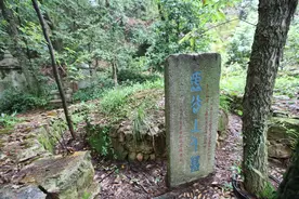 「觅画记」虚 谷：落笔冷隽，蹊径别开（上）韦力撰图片
