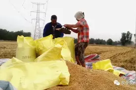 粮食补贴马上下发！今年有哪些变化？农民注意啦图片