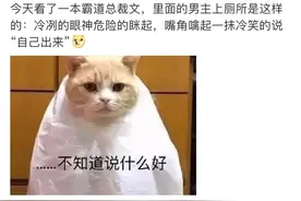 那些年看过的沙雕霸总文图片