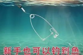 为了收获更好，“自动钓鱼”应运而生，效果真的好吗？图片