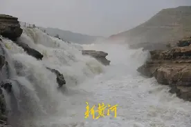 黄河变清速度前所未有！陕西年均入黄泥沙量从8.3减少到2.68亿吨图片