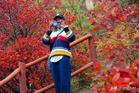 洛阳出发，自驾游到卢氏赏红叶、泡温泉，享受秋末的红火之旅图片