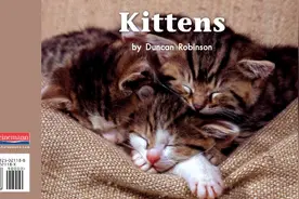 英语有声绘本阅读:《Kittens》爱捉鱼的小猫图片