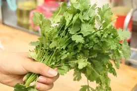 吃不完的香菜，别再放冰箱保存了，教你一招，新鲜翠绿不会坏图片