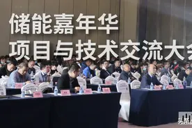 展会资讯丨2020储能嘉年华·项目与技术交流大会已圆满落幕图片