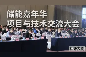 展会资讯丨2020储能嘉年华·项目与技术交流大会已圆满落幕图片