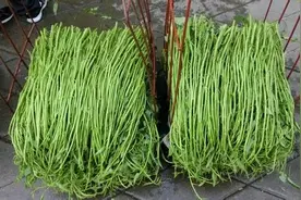 空心菜有4个品种，它堪称通菜中的“爱马仕”，有钱也难买到图片