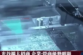 凤凰卫视：中国光谷疫后重振驶入快车道图片