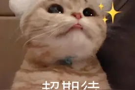 四六级下周开始报名！各省市报名时间汇总，名额还要抢图片