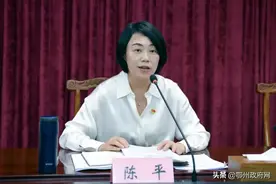 陈平到所在党支部参加党史学习教育图片