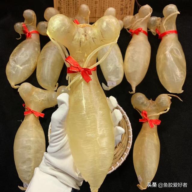 蜘蛛胶有什么功效 价钱 2026年蜘蛛胶有什么功效,价钱 蜘蛛胶有什么功效 价钱 2026年蜘蛛胶有什么功效,价钱