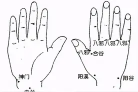 阳溪穴主治：狂言喜笑见鬼，热病烦心，目风赤烂有翳图片