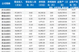 山东15家农商行哪家强？来看半年报大盘点图片