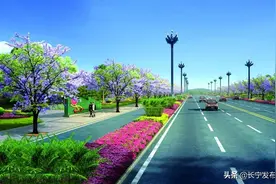 点赞2020||长宁交通建设是这样的…图片