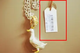 郑爽卖二手项链再惹争议，原价多少钱才能卖4100元？图片