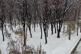 今朝若是同淋雪，此生也算共白头图片