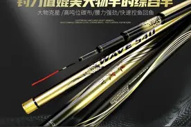 6米3鱼竿哪个牌子又轻又好？（推荐）图片