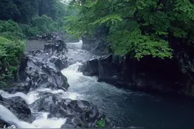 小说：少年拔出长剑，天阳子识出那是落雨花剑，定是皇族中人图片