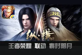 当王者荣耀遇上秦时明月，又是一波华丽的皮肤雨，网友：全打包了图片