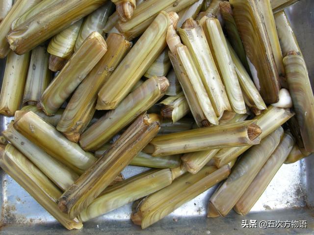 六耳赤嘴鱼胶有收藏价值吗 2026年六耳赤嘴鱼胶的功效和作用