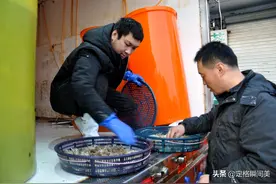 虾爬零售75元一斤，实拍新春青岛早市海货行情，听着让人咋舌图片