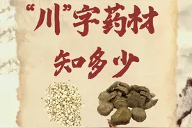 世界传统医药日丨四川这些“川”字中药，你都认识几个？图片