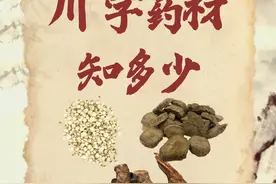 世界传统医药日丨四川这些“川”字中药，你都认识几个？图片
