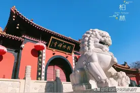 千年古县赵县，除了雪花梨和固城驴肉，还有哪些美食？图片
