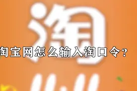 淘宝网怎么输入淘口令图片