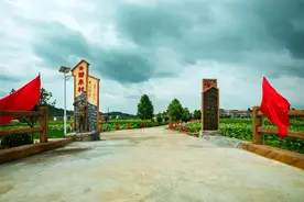 南丰：“激活”“用活”红色文化资源 赋能革命老区乡村振兴图片