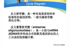 乙肝在研新药二联疗法与罗氏公司新靶点图片