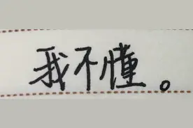 表情包：我不理解图片