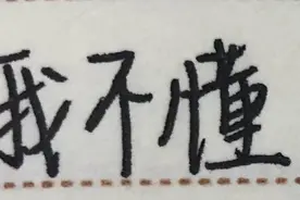 表情包：我不理解图片