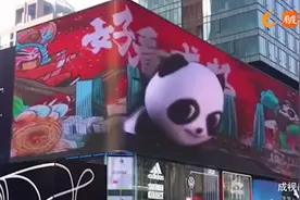 在太古里逛街时，遇见熊猫跟你打招呼是什么体验？图片