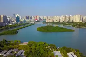 海景房打五折，酒店直播卖餐位！90后副镇长变导游图片