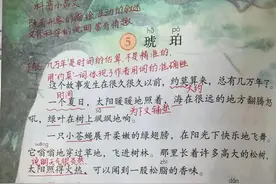 四年级语文下册，第5课《琥珀》课堂笔记及全文解析~图片