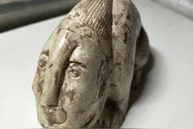 天上降活物的记载《解开生命起源的真相》长篇连载（25）图片