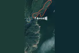 浙江一村子里有“豹子”出没？黄白色，有斑点，不怕人图片