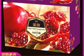 新移栽的突尼斯软籽石榴树苗没有发芽的原因图片