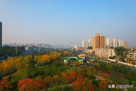 航拍西安幸福林带，秋色五彩斑斓迷人眼图片
