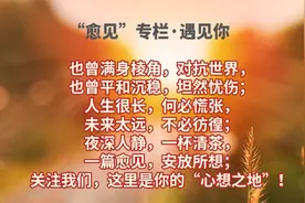 愈见 | 今天，我不爱你......图片