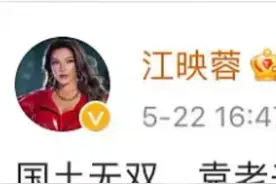 国土无双？抄袭原来也能这么搞笑图片