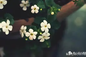 感情有时候就是试错，这个不行，就下一个图片
