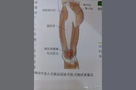 膝盖不舒服？ 有可能不是膝盖的问题！图片
