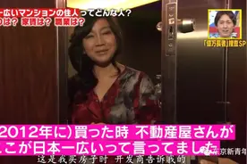 710㎡的日本第一豪宅，居然是位带2个孩子的家庭主妇靠副业买下的图片