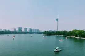 北京这个公园睡莲绽放！如梦似幻，宛如“水上花海”！图片